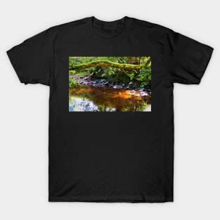 Colorful River Water With Tree & Light Reflections - Rural Scenery T-Shirt